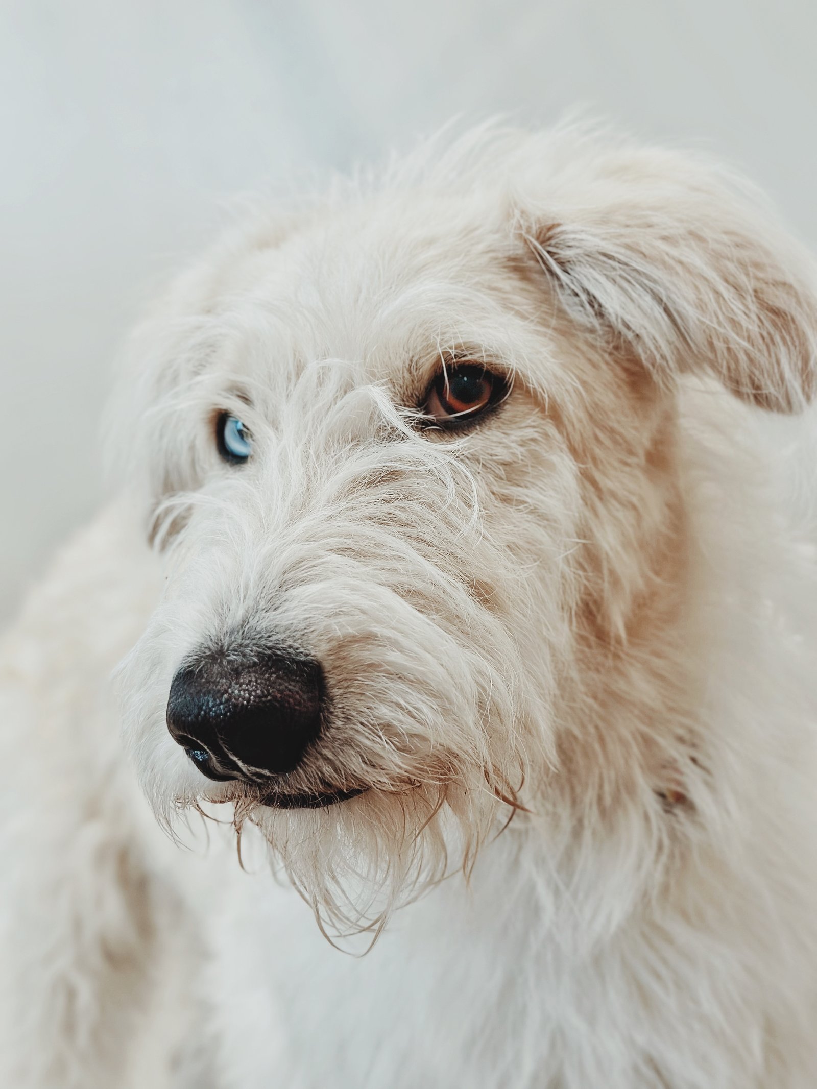 Photograph by Meghna Rickabaugh Rich — Animalia