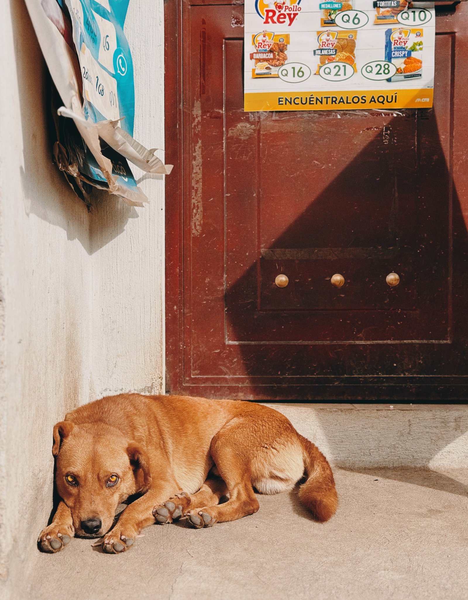 Photograph by Meghna Rickabaugh Rich — Guatemala