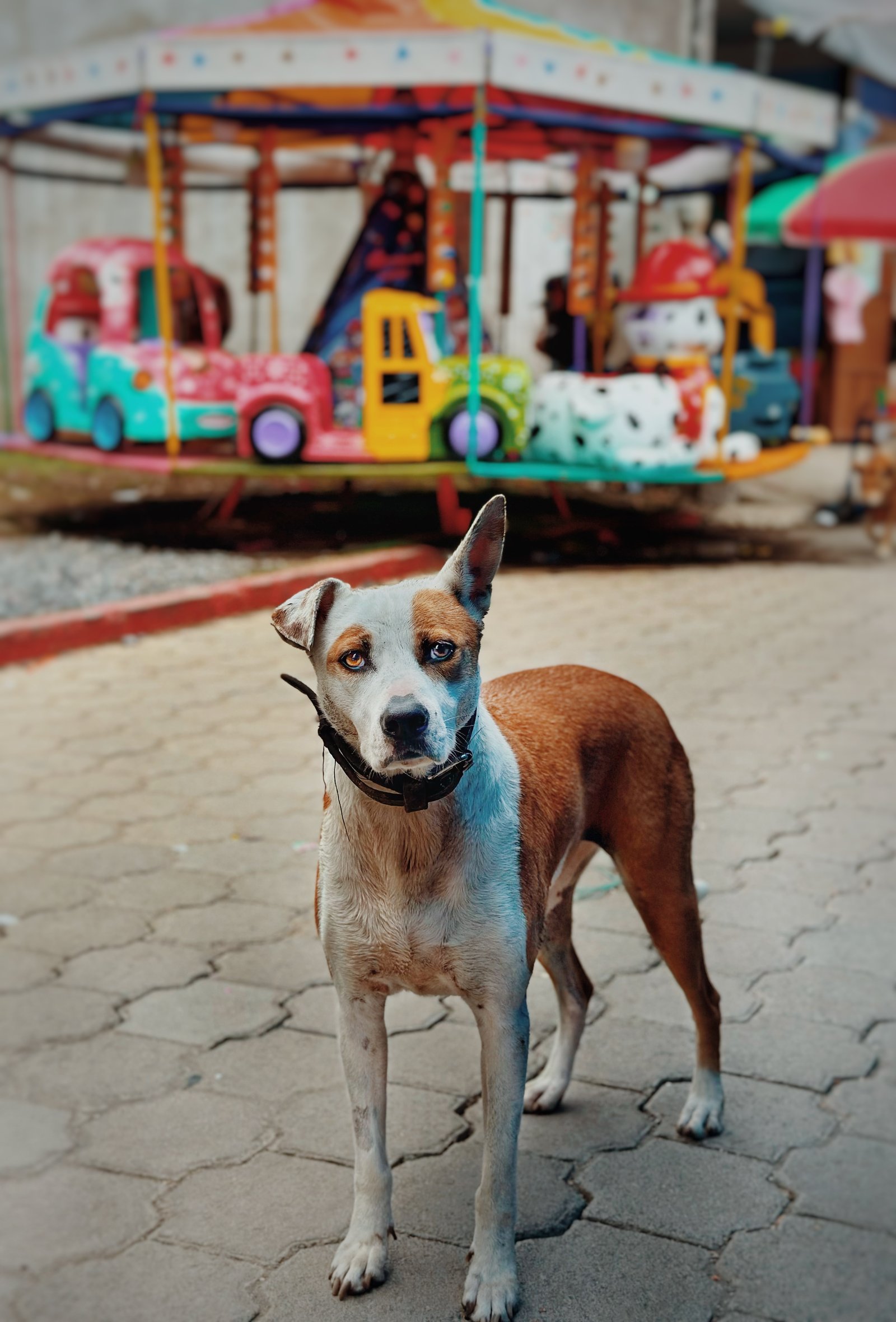 Photograph by Meghna Rickabaugh Rich — Guatemala
