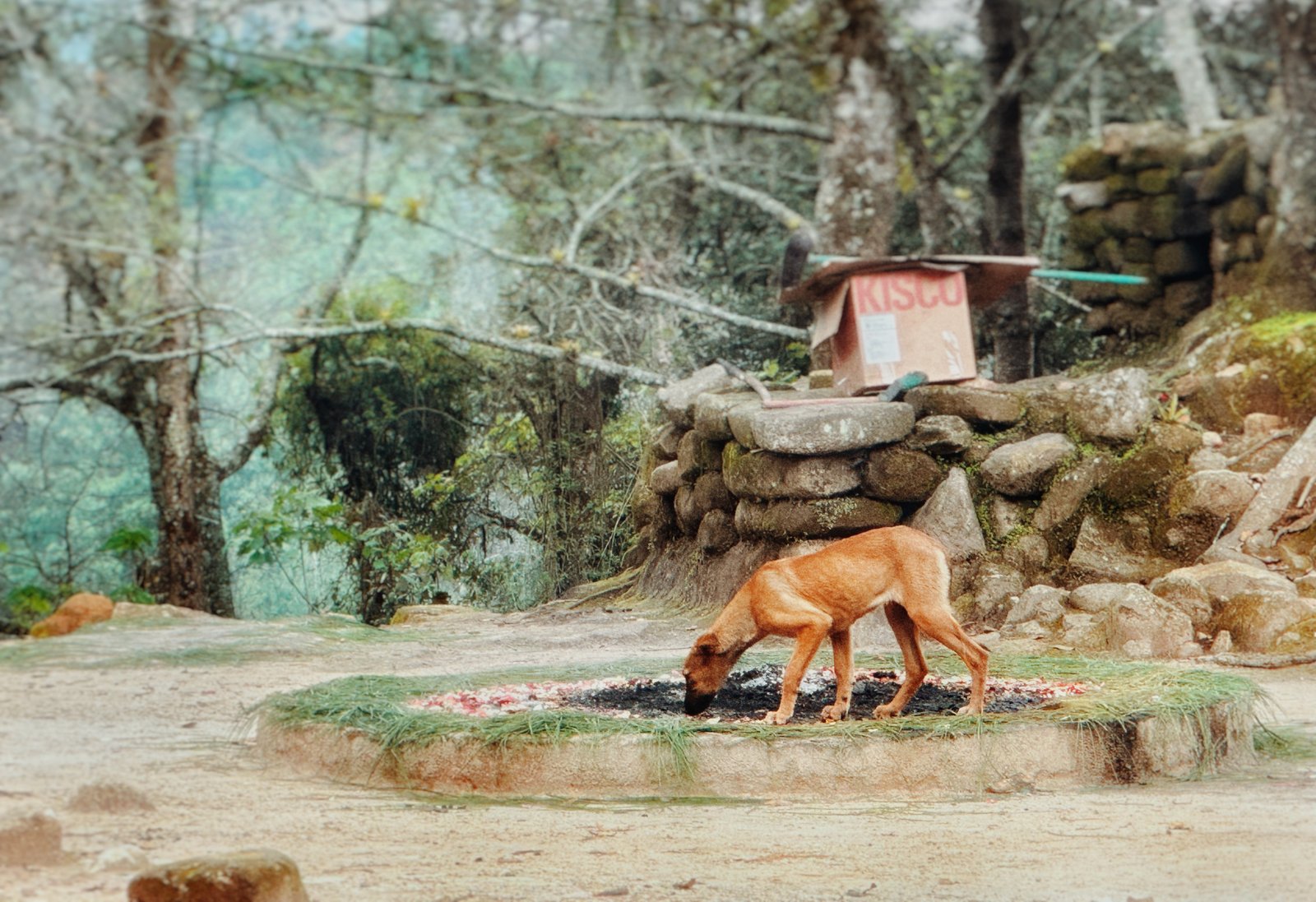 Photograph by Meghna Rickabaugh Rich — Guatemala