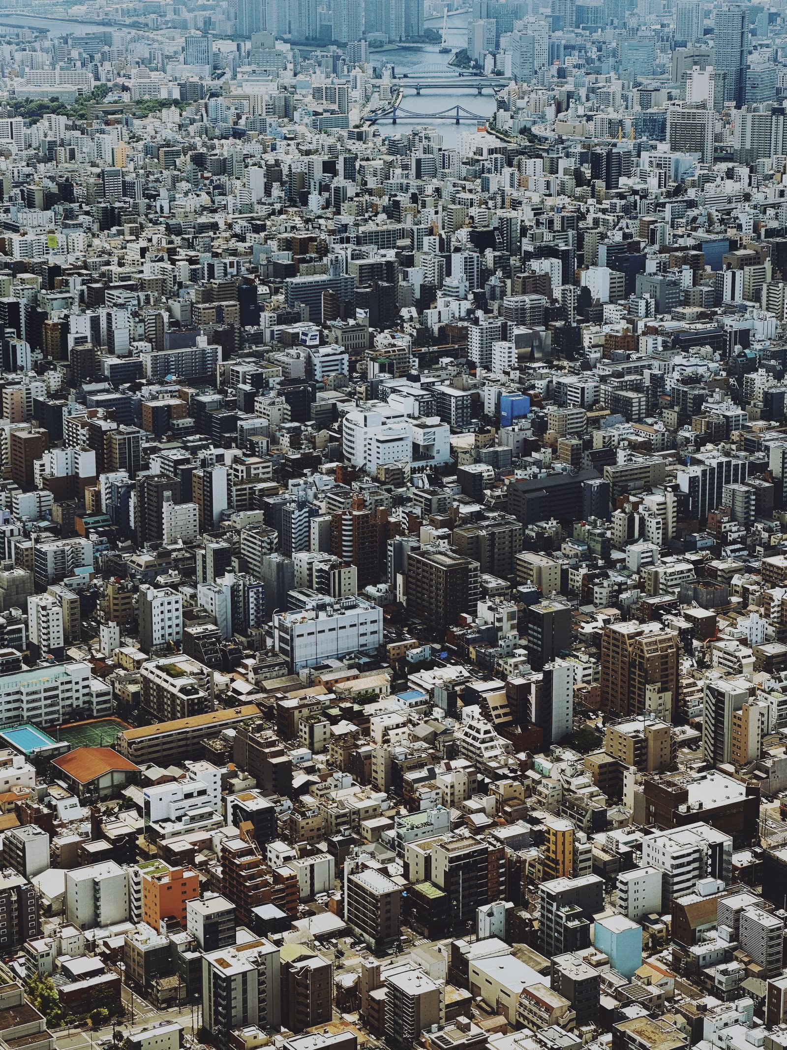 Photograph by Meghna Rickabaugh Rich — Japan